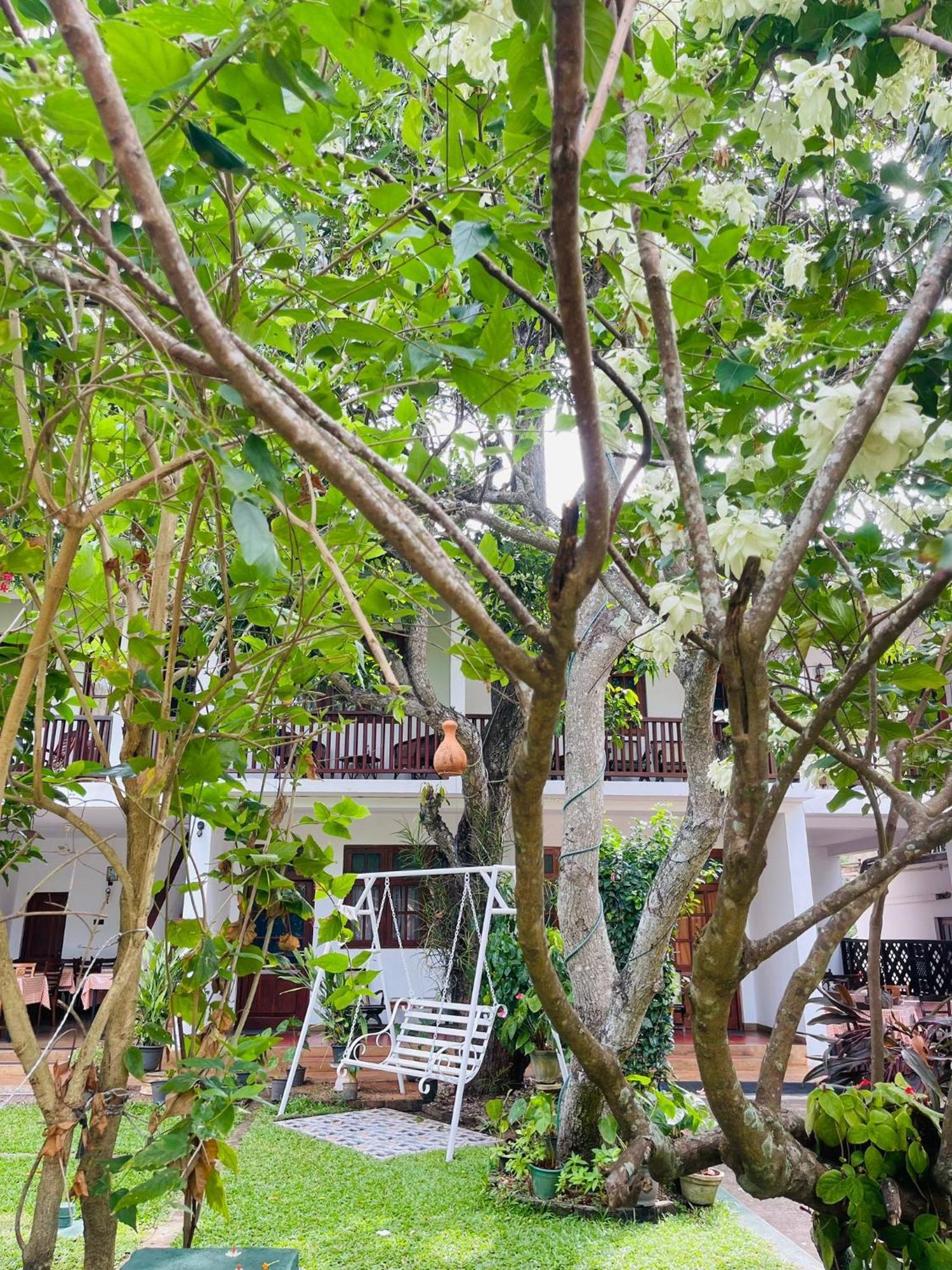 Little Paradise Tourist Guest House And Holiday Home Anuradhapura Eksteriør billede
