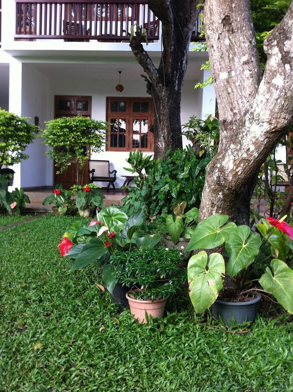 Little Paradise Tourist Guest House And Holiday Home Anuradhapura Eksteriør billede